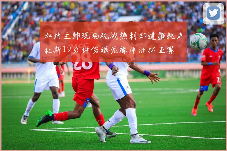 加纳主帅现场观战热刺却遭噩耗库杜斯19分钟伤退无缘非洲杯正赛